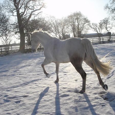 The Jockey Room Hideaway Spurstow ภายนอก รูปภาพ