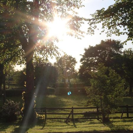 The Jockey Room Hideaway Spurstow ภายนอก รูปภาพ
