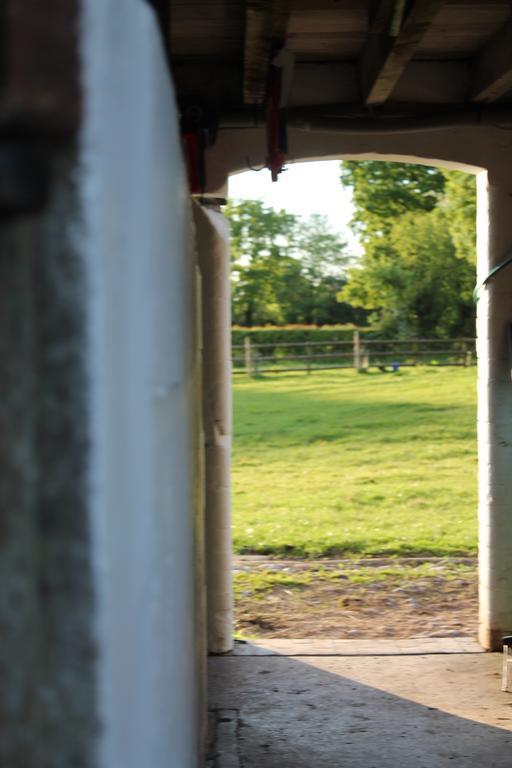 The Jockey Room Hideaway Spurstow ภายนอก รูปภาพ