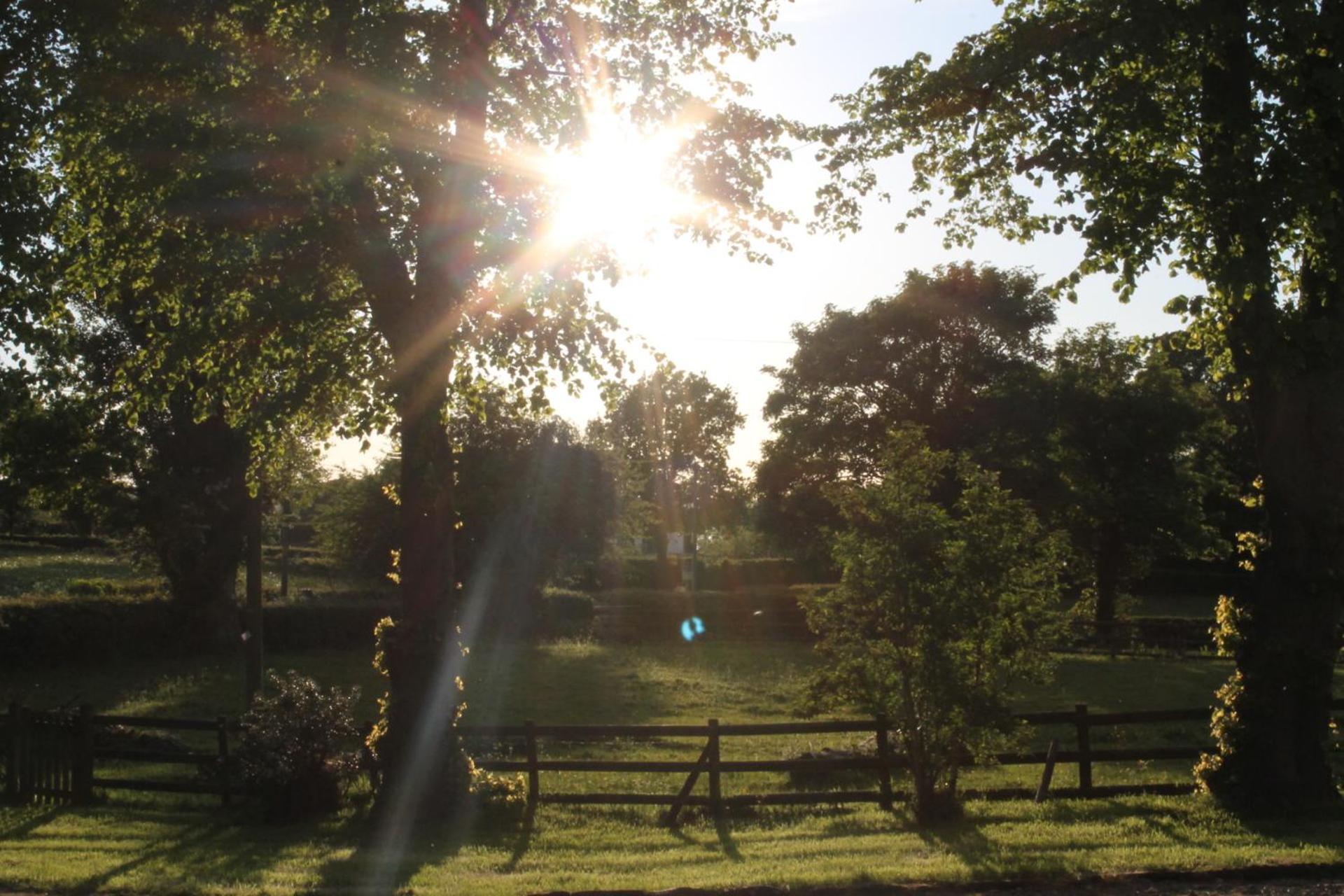 The Jockey Room Hideaway Spurstow ภายนอก รูปภาพ