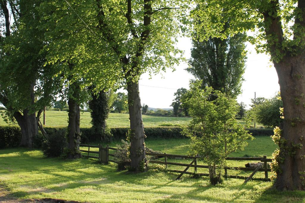 The Jockey Room Hideaway Spurstow ภายนอก รูปภาพ