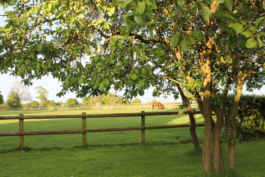 The Jockey Room Hideaway Spurstow ภายนอก รูปภาพ